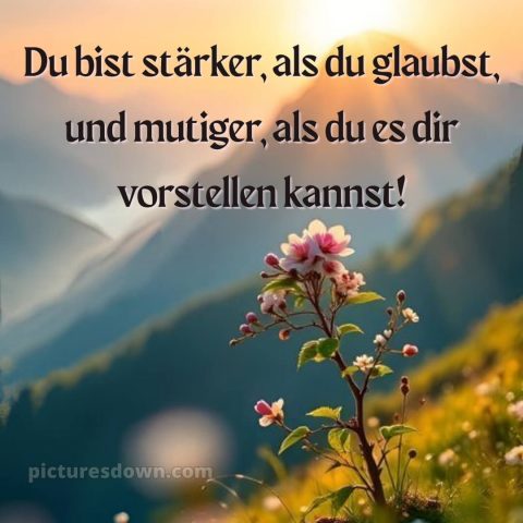 Ich wünsche dir kraft sprüche bild 15 kostenlos