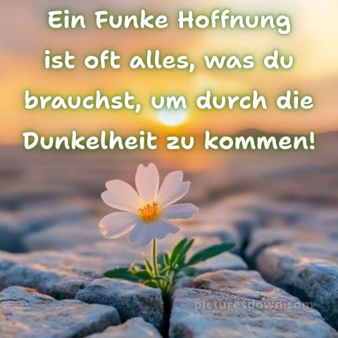 Ich wünsche dir kraft sprüche bild 2 kostenlos