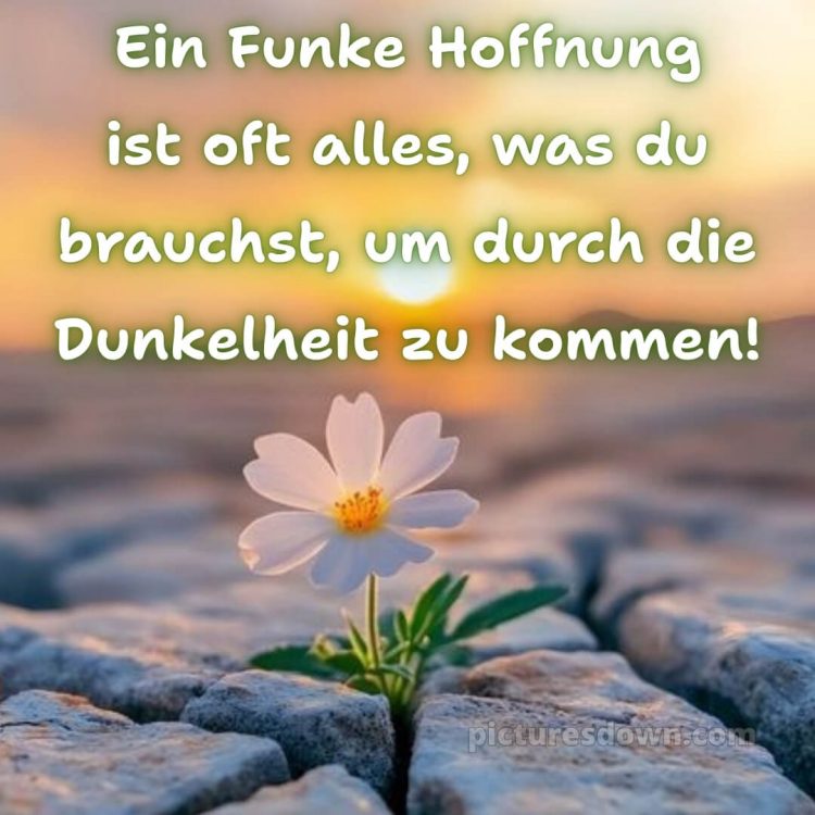 Ich wünsche dir kraft sprüche bild 2 kostenlos