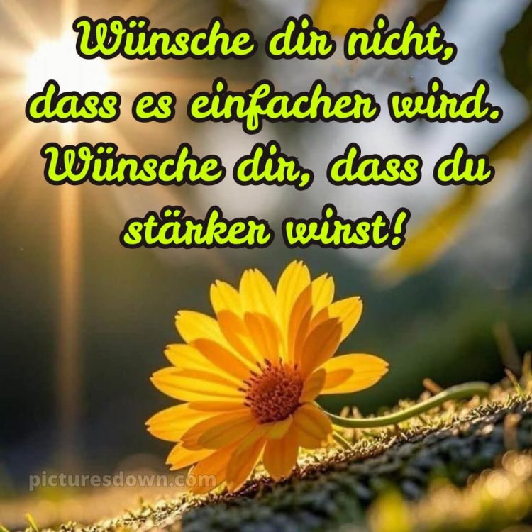 Ich wünsche dir kraft sprüche bild 4 kostenlos