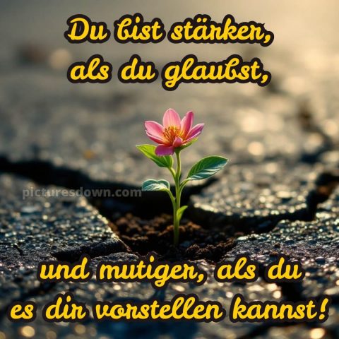 Ich wünsche dir kraft sprüche bild 5 kostenlos