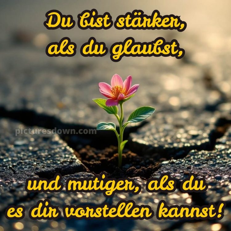 Ich wünsche dir kraft sprüche bild 5 kostenlos