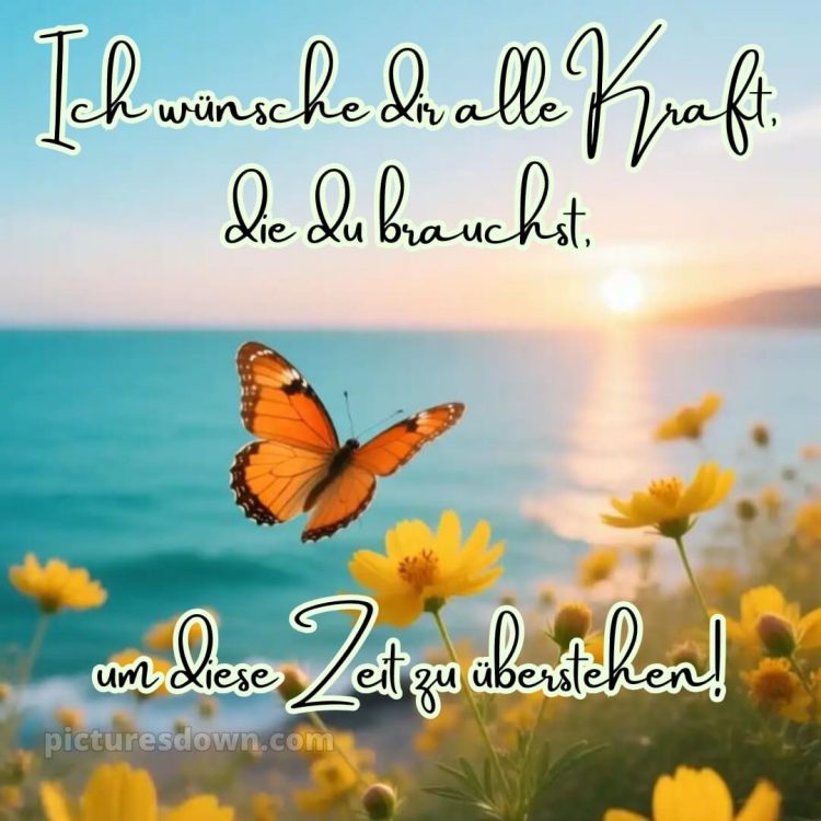 Ich wünsche dir kraft sprüche bild 6 kostenlos