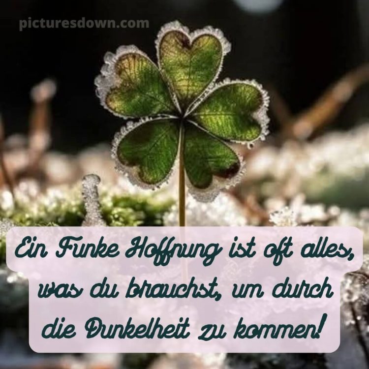 Ich wünsche dir kraft sprüche bild 9 kostenlos