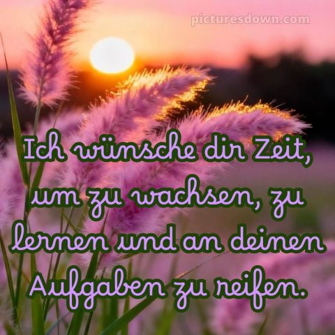 Ich wünsche dir zeit bild 2 kostenlos
