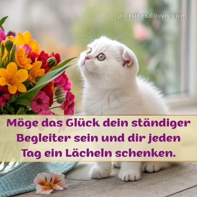 Was ich dir wünsche bild 10 kostenlos