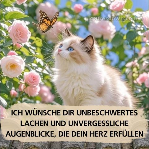 Was ich dir wünsche bild 12 kostenlos