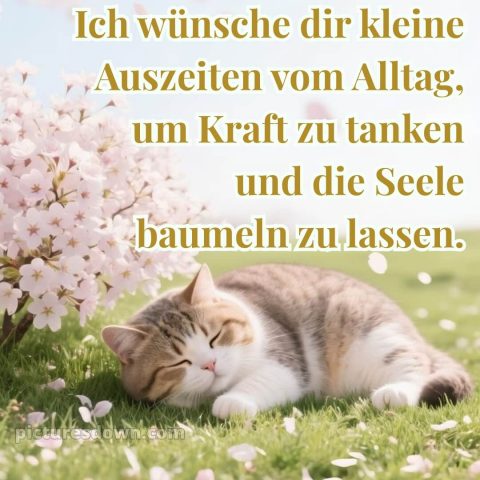 Was ich dir wünsche bild 14 kostenlos